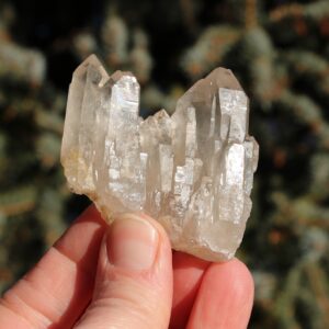 Clear Quartz Cluster #s*