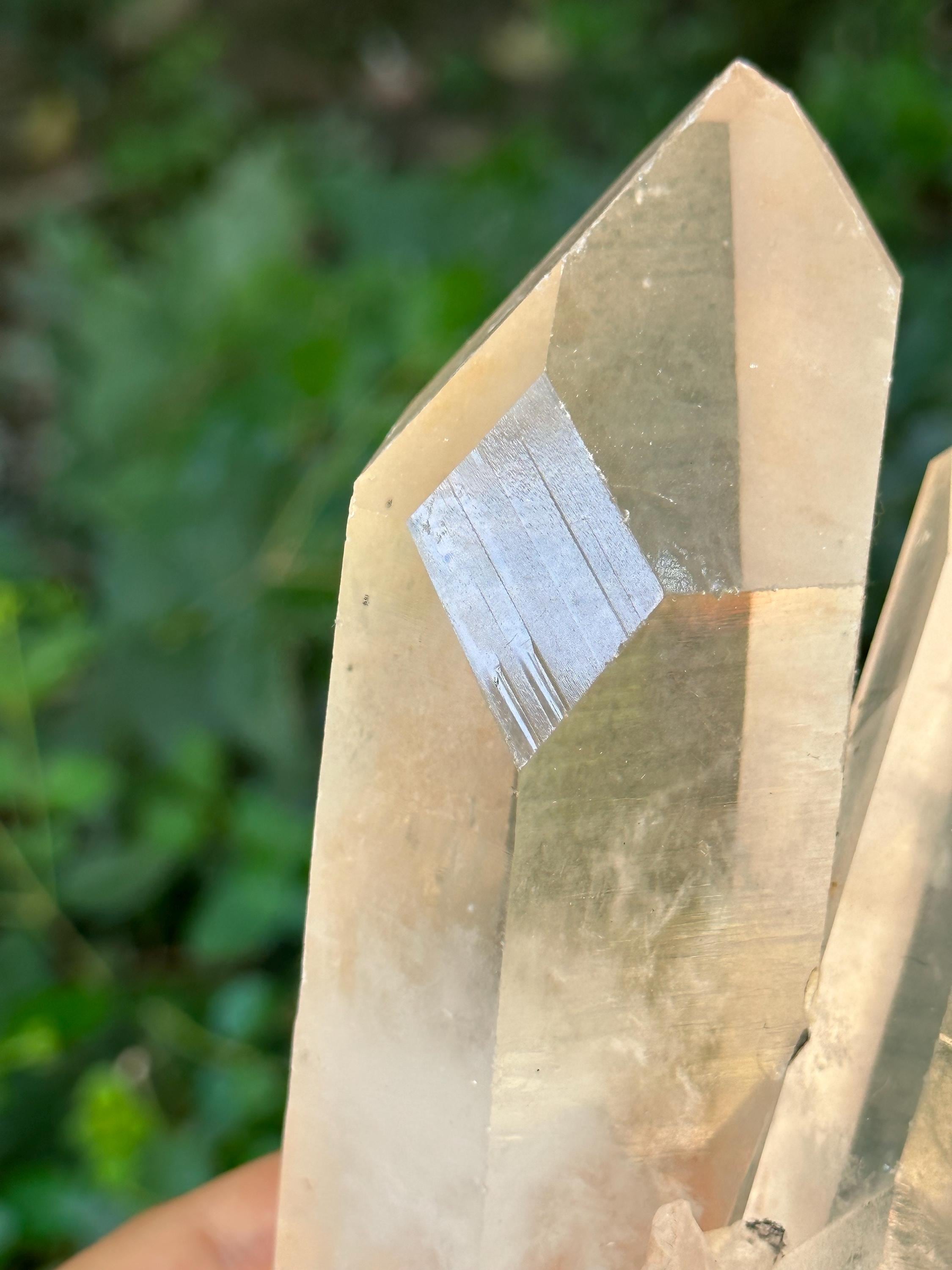 Himalayan Time Links Quartz Isis Crystal Cluster/master Window Crystal/energy Crystal /healing/reiki/meditation/collection-900 G Himalayan Time Links Quartz Isis Crystal Cluster/master Window Crystal/energy Crystal /healing/reiki/meditation/collection-900 G