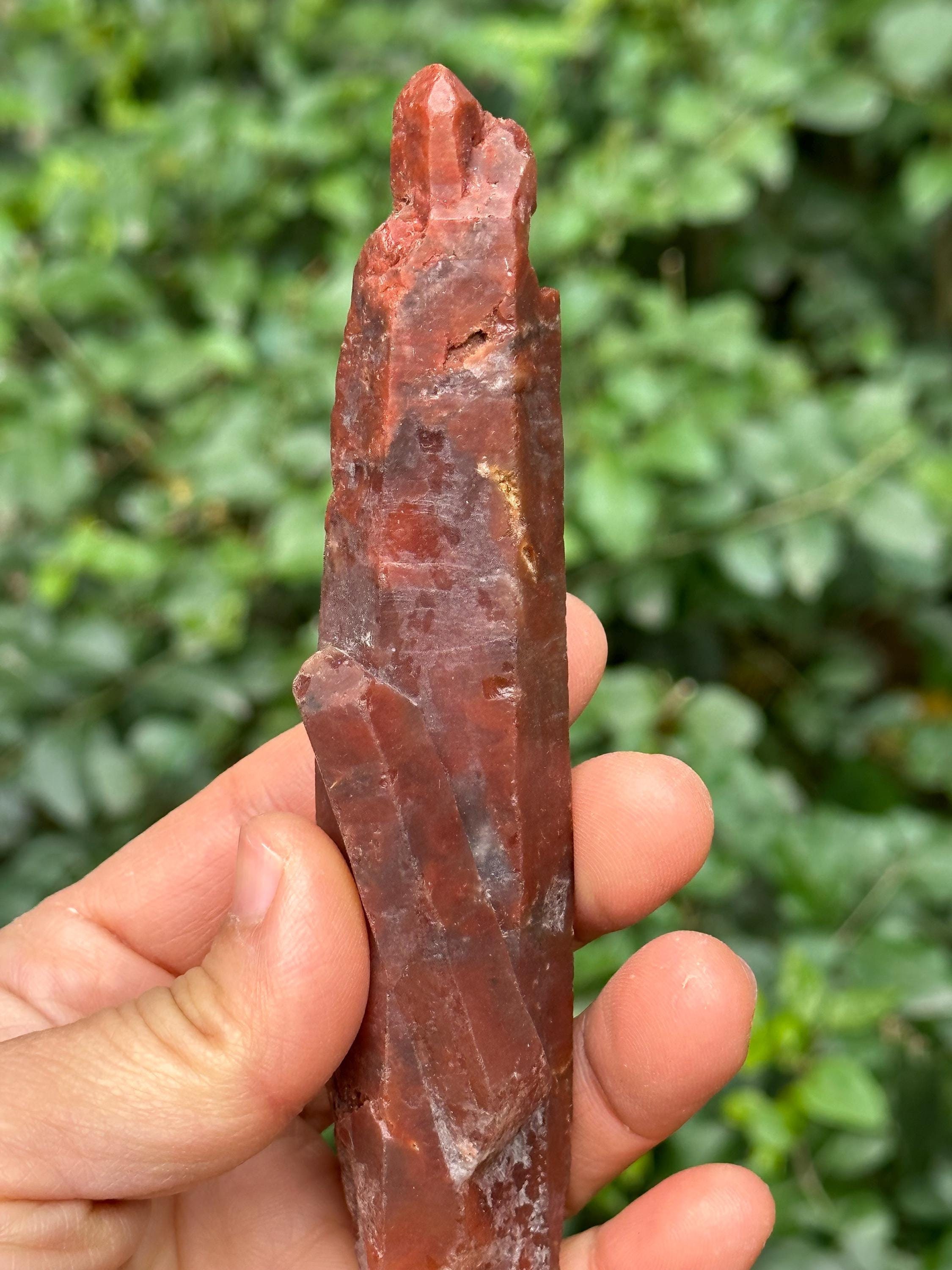 Raw Nirvana Angel's Wing Red Amphibole Included In Quartz Crystal/inclusion Quartz Ball/garden Scenic Crystal Sphere Collection-108 G