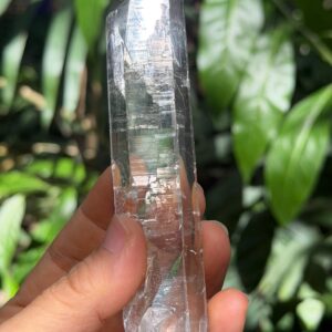 Rare Clear Himalayan Quartz Shining Mosaic Crystal/Energy/Reiki/Healing/Meditation/Collection/Specimen-109 g
