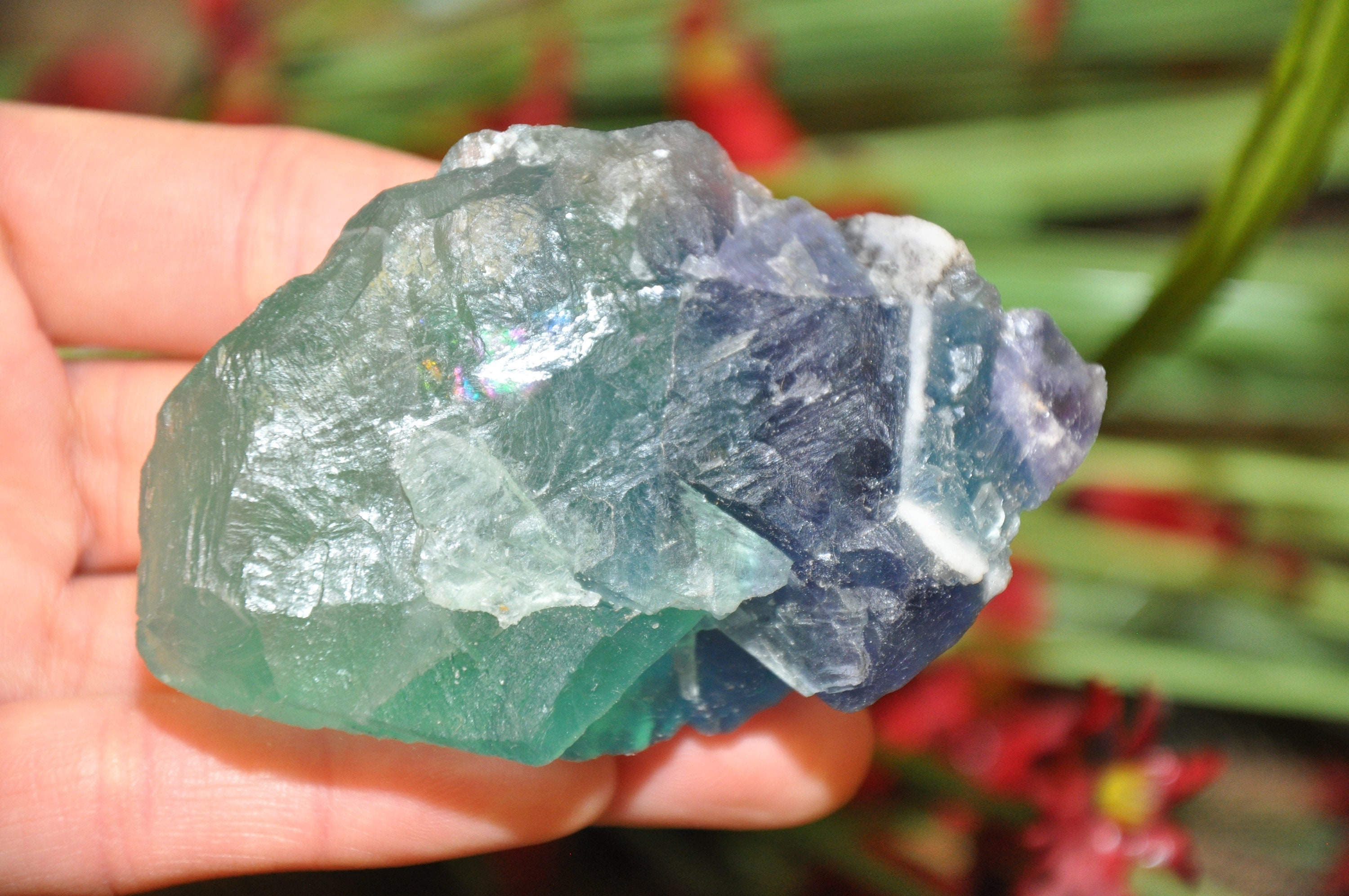 Raw Fluorite Crystal Chunk, Rainbow Fluorite Gemstone, Healing Specimen, Reiki Raw Fluorite Crystal Chunk, Rainbow Fluorite Gemstone, Healing Specimen, Reiki