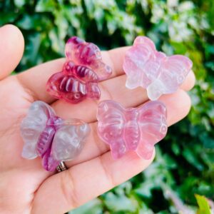 Rainbow Fluorite Crystal Butterfly: Carved Gemstone Bug (28x24x12 Mm)