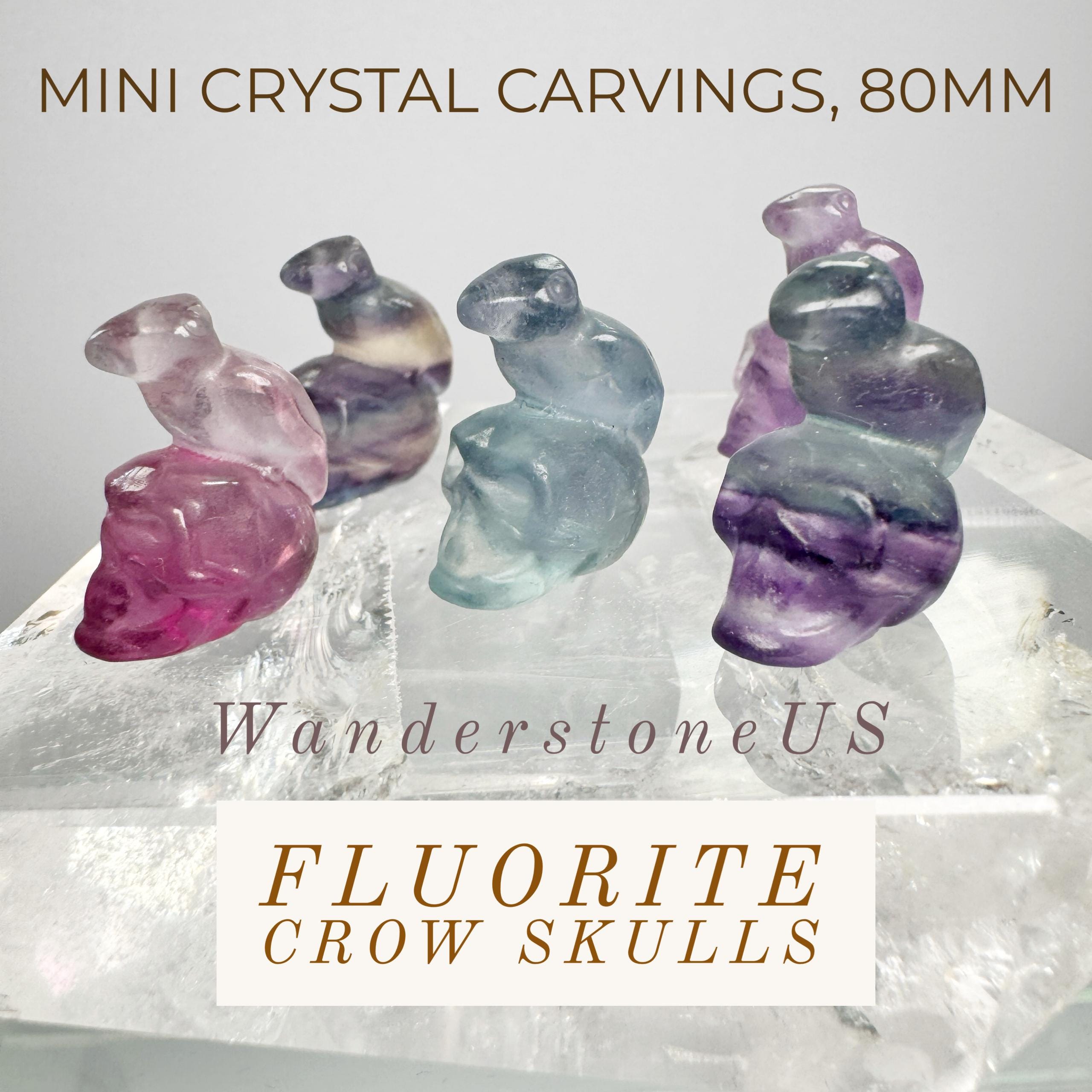 Rainbow Fluorite Skull | Mini Crystal Skull | Crystal Minis | Skull With Crow | Crystal Crow