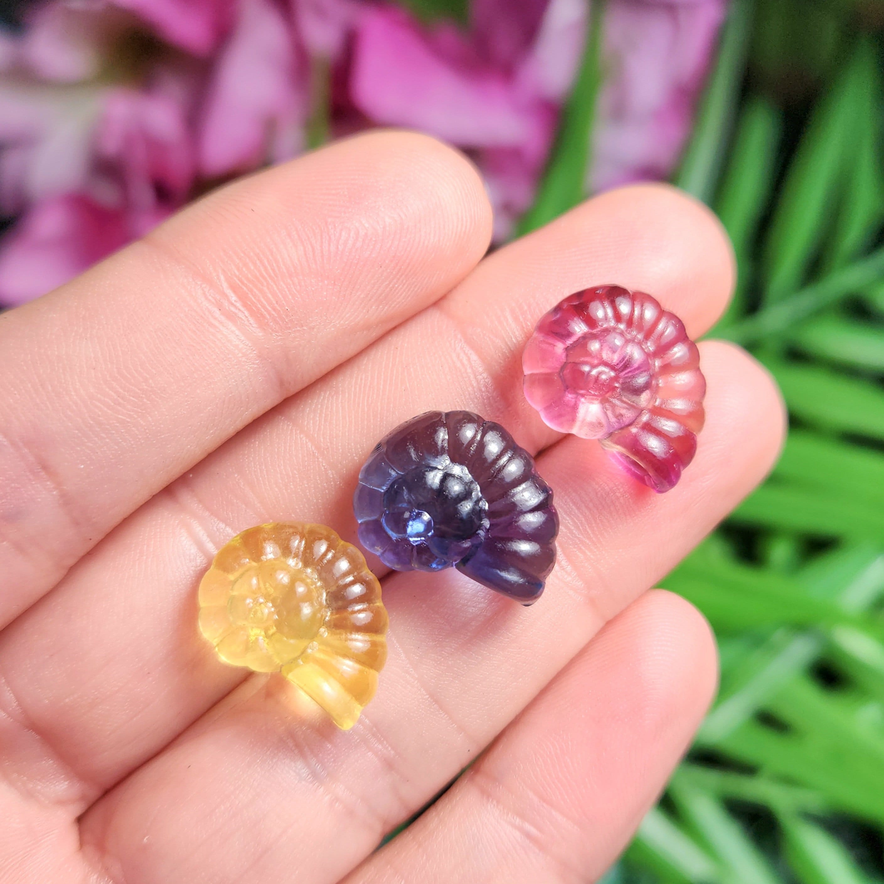 Rainbow Fluorite Spiral Seashell - Fluorite Crystal - Ammonite Shell - Fluorite Carving - Rainbow Fluorite - Ammonite Crystal Carving