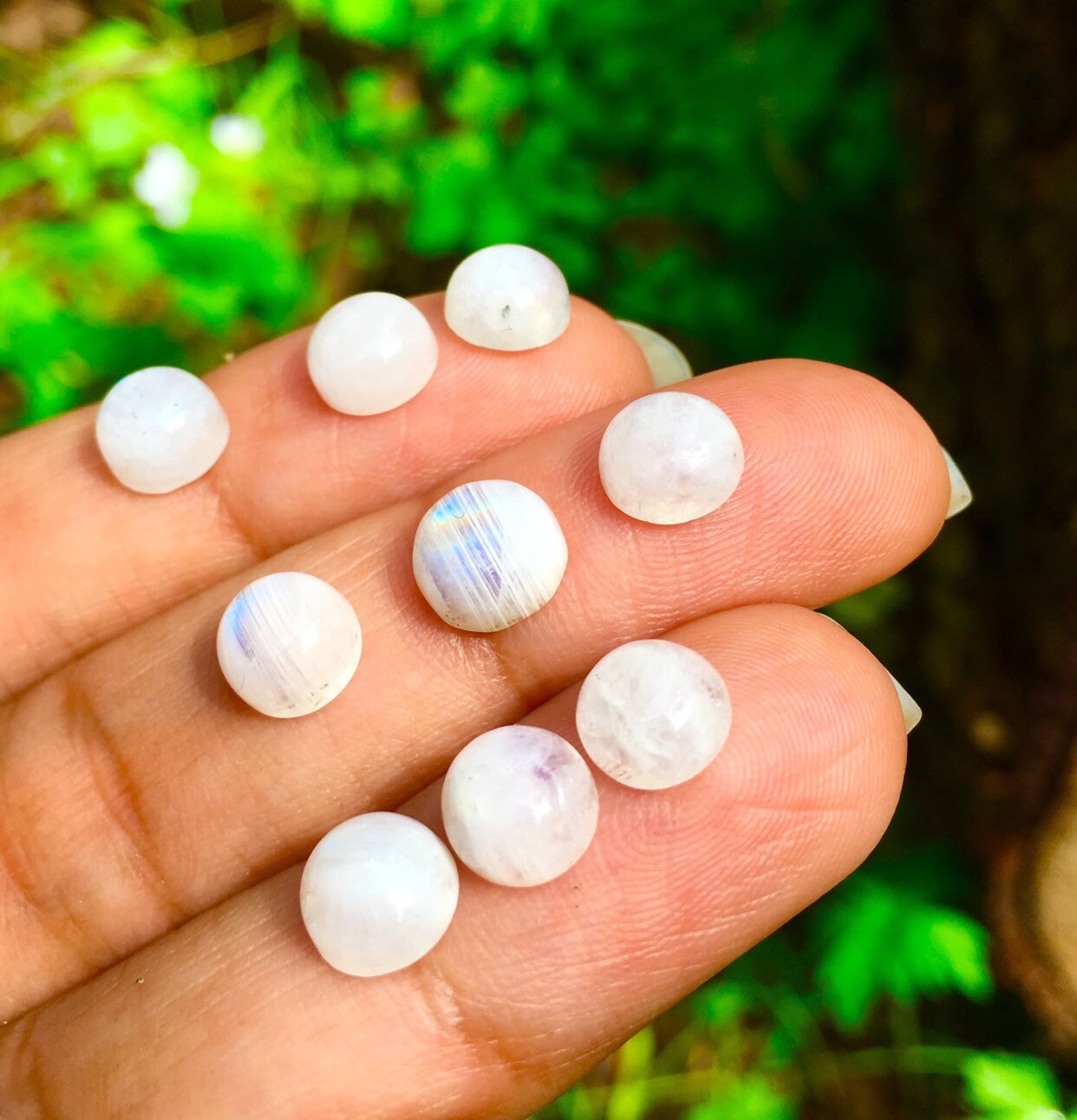 White Rainbow Moonstone Cabochons (10) - 5-7mm Natural Gemstone Crystals