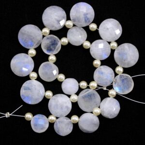 Faceted Rainbow Moonstone Strand: 20 Blue Fire Coin Beads (8-12 Mm) Faceted Rainbow Moonstone Strand: 20 Blue Fire Coin Beads (8-12 Mm)