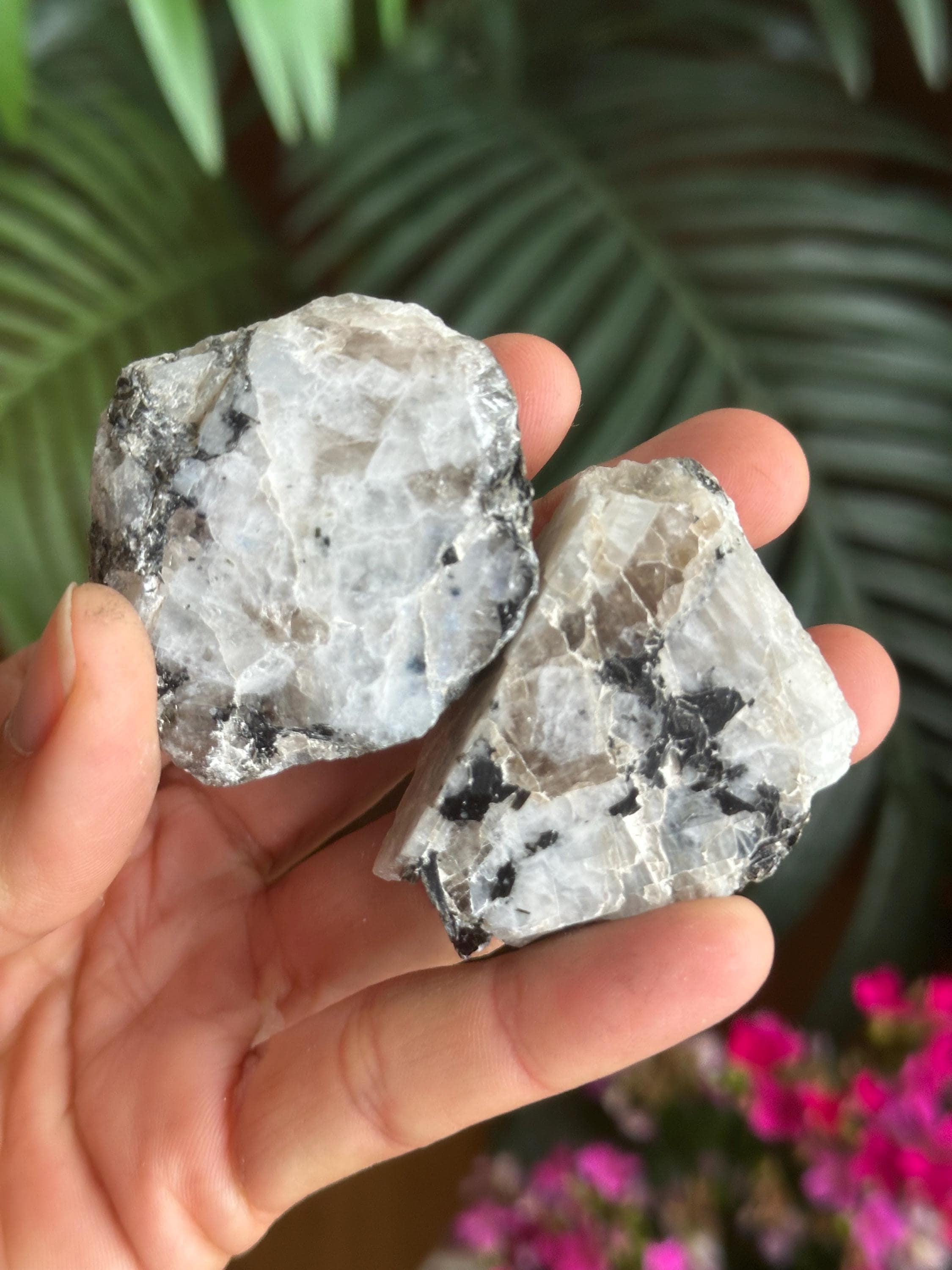 Half Polished Rainbow Moonstone Slab: June Birthstone