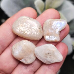 Belomorite Rainbow Moonstone Crystal - Tumbled Moonstone - Polished Moonstone Specimen Belomorite Rainbow Moonstone Crystal - Tumbled Moonstone - Polished Moonstone Specimen
