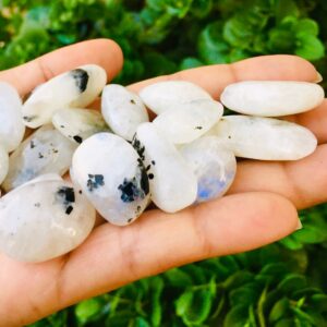 Rainbow Moonstone: Tumbled White Gemstone with Blue Flash (20-30mm) Rainbow Moonstone: Tumbled White Gemstone with Blue Flash (20-30mm)