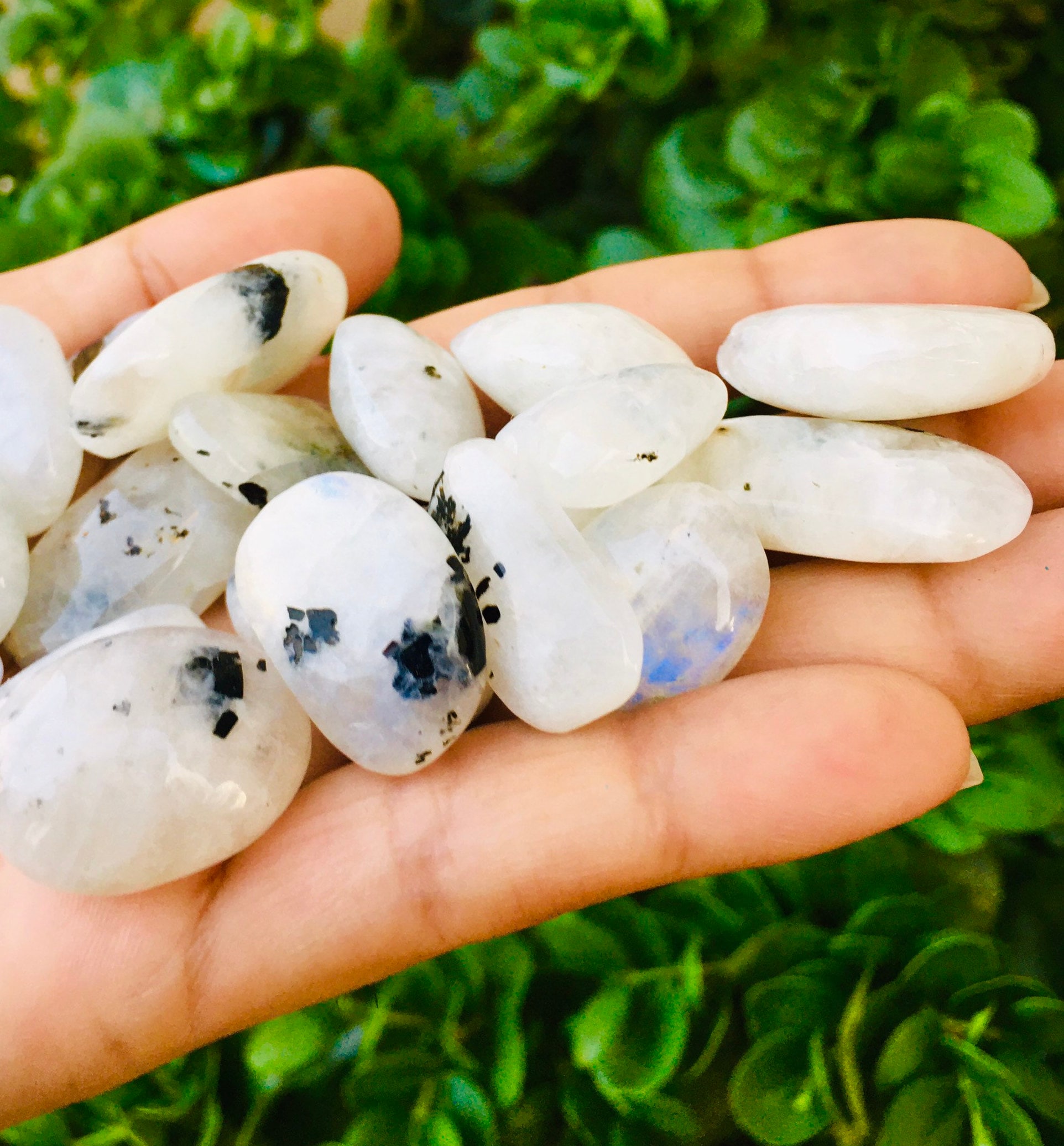 Rainbow Moonstone: Tumbled White Gemstone With Blue Flash (20-30mm) Rainbow Moonstone: Tumbled White Gemstone With Blue Flash (20-30mm)