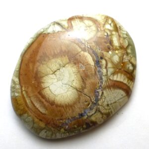 66.68 Carats Birdseye Rhyolite Cabochon Handmade Lisajoy Sachs Design Unique Birds Eye Patterning Tan Brown Rust Black Jewelry Pendant Ring