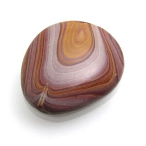 Rainbow Hickoryite Rainbow Rhyolite Hickory Woodgrain Gemstone Natural Authentic Handmade Cabochon For Use In Jewelry Designs Autumn Gem