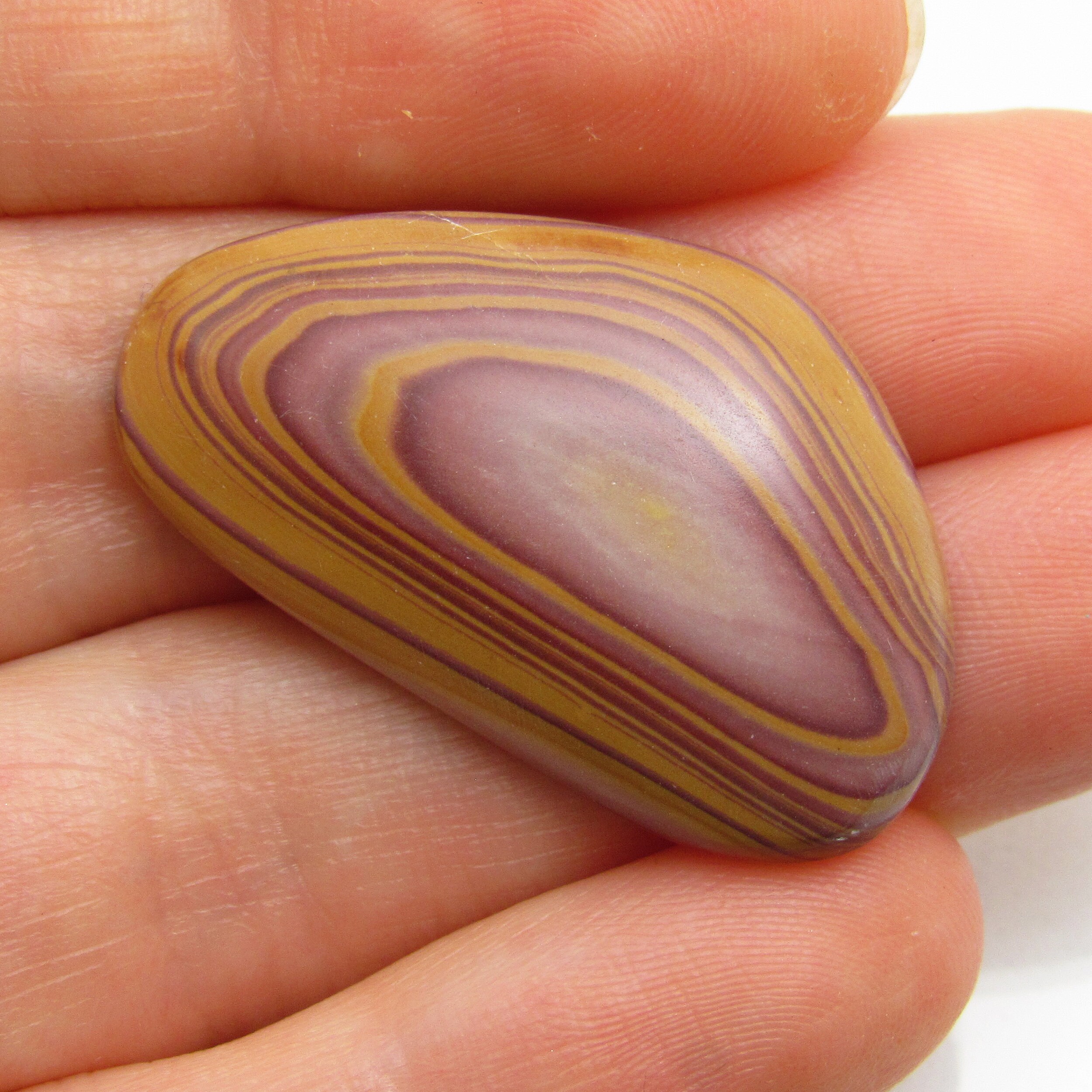 Rainbow Hickoryite Rainbow Rhyolite Hickory Woodgrain Gemstone Natural Authentic Handmade Cabochon For Use In Jewelry Designs Autumn Gem
