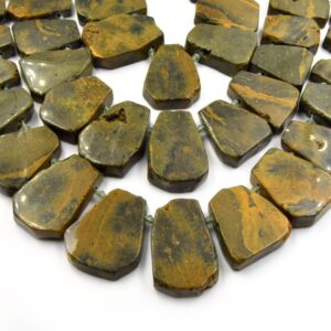 Rainforest Jasper Beads: Freeform Fan Shaped, 15" Strand