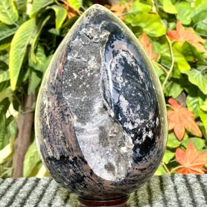 Huge Druzy Dendritic Jasper Egg: Sonoran Rhyolite Healing Stone
