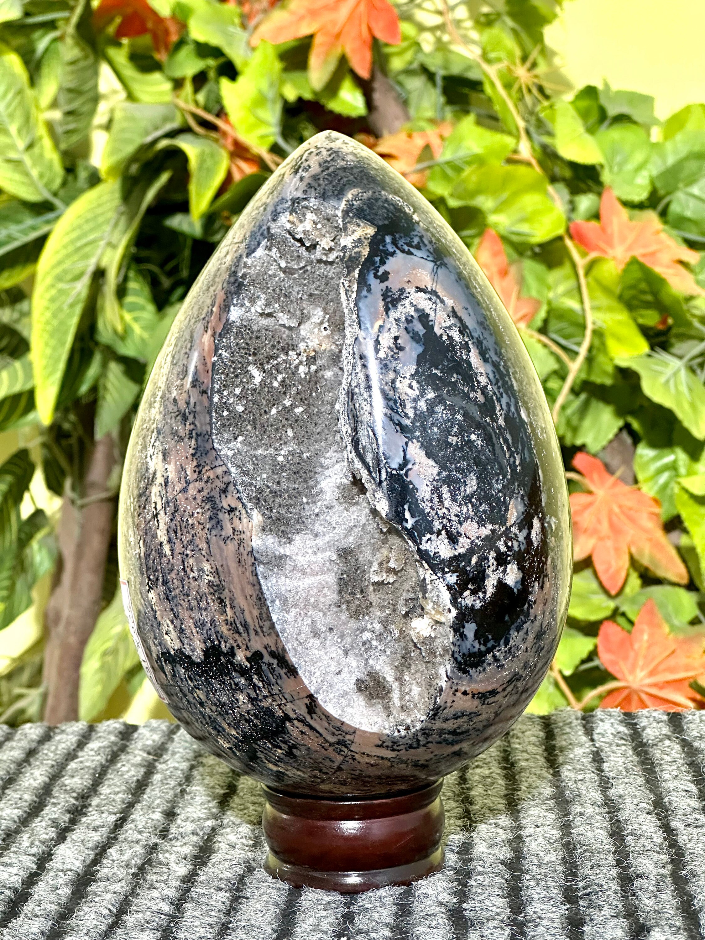 Huge Druzy Dendritic Jasper Egg: Sonoran Rhyolite Healing Stone