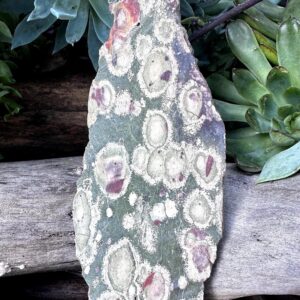Lily Pad Rhyolite Jasper Unpolished Slab