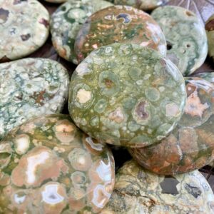 Rain Forest Jasper Rhyolite Palm Stone , worry Gemstone Crystal Natural