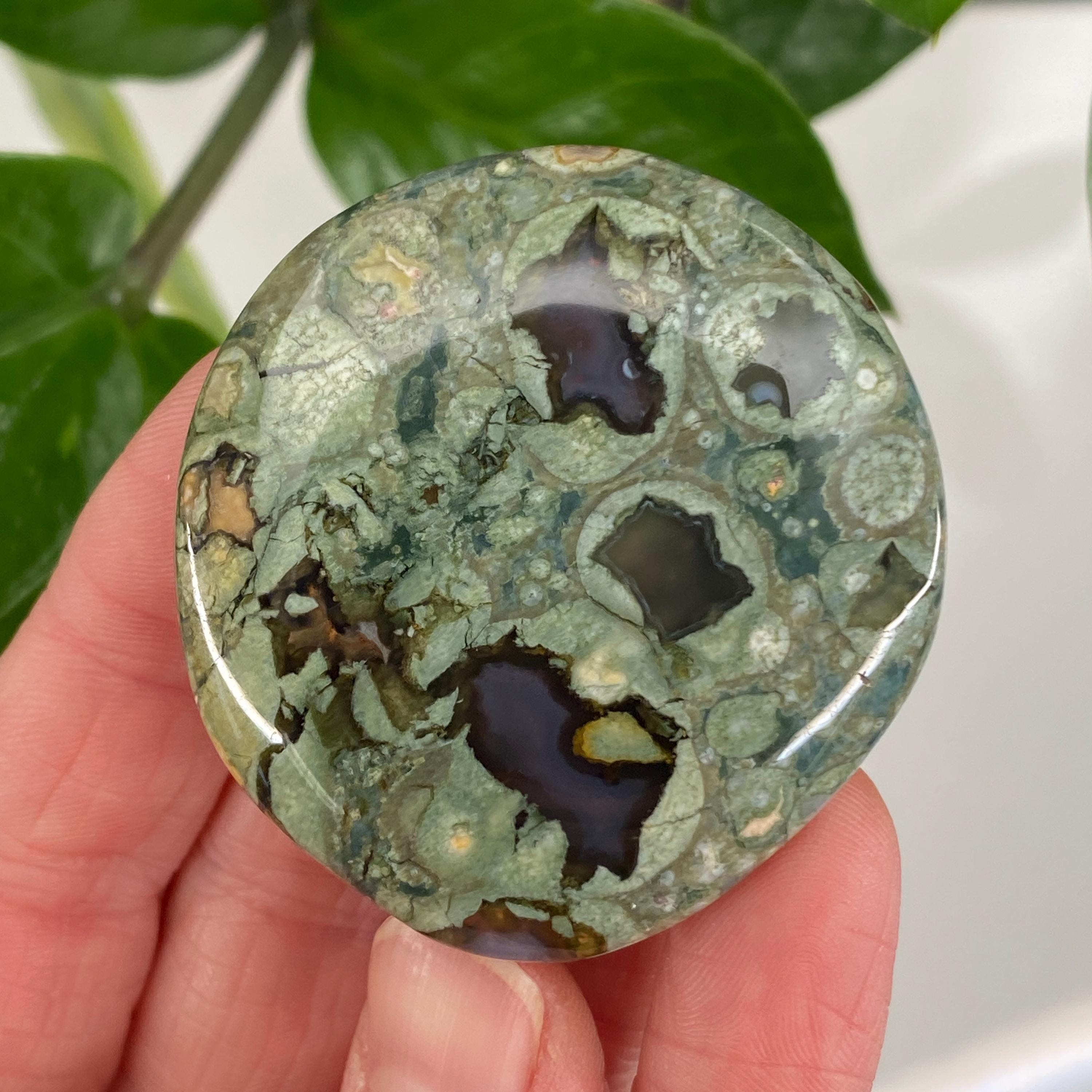 Rainforest Jasper Worry Stone, Rainforest Jasper Palm Stone, Nature Gift, Spiritual, Heart Chakra