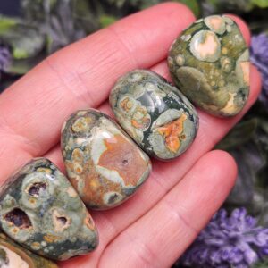 Australian Rainforest Jasper - Rainforest Rhyolite - Rhyolite - Jasper Crystal - Tumbled Rainforest Jasper - Rainforest Jasper Crystal
