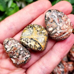 Leopard Skin Jasper - Leopard Stone - Rhyolite Jasper - Leopard Skin Jasper Tumble - Jasper Crystal - Tumbled Jasper - Leopard Jasper Tumble
