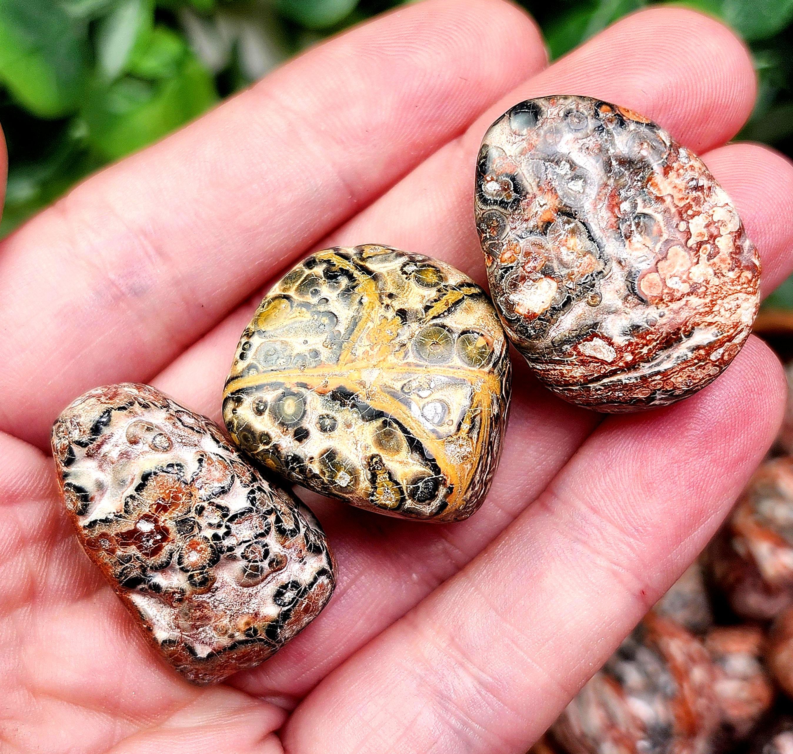 Leopard Skin Jasper - Leopard Stone - Rhyolite Jasper - Leopard Skin Jasper Tumble - Jasper Crystal - Tumbled Jasper - Leopard Jasper Tumble Leopard Skin Jasper - Leopard Stone - Rhyolite Jasper - Leopard Skin Jasper Tumble - Jasper Crystal - Tumbled Jasper - Leopard Jasper Tumble