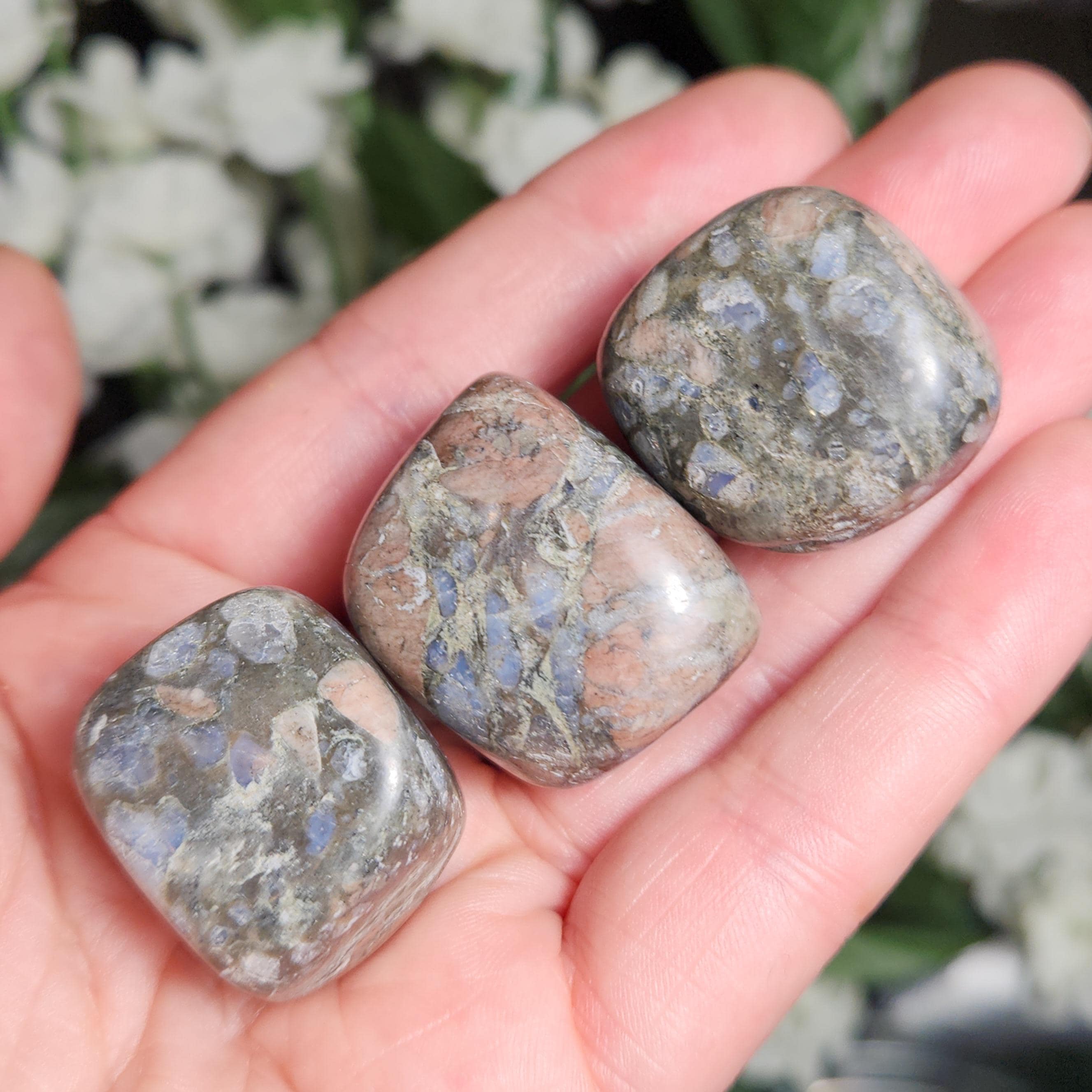 Que Sera Stone - Glaucophane - Galaxy Rhyolite - Que Sera Sera - Que Sera Crystal - Que Sera Tumbled Stone - Polished Que Sera Stone