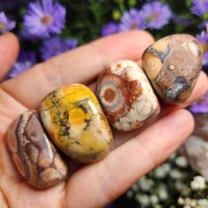 Rhyolite Tumbled Crystal: Amulet Stone, Birds Eye Rhyolite