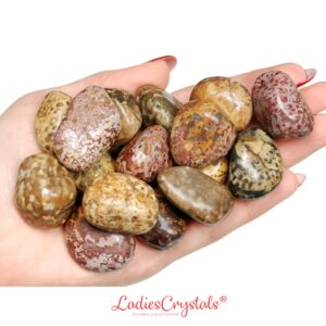 Rhyolite Leopardskin Jasper Tumbled Stone, Natural Change And Self-Esteem Gem