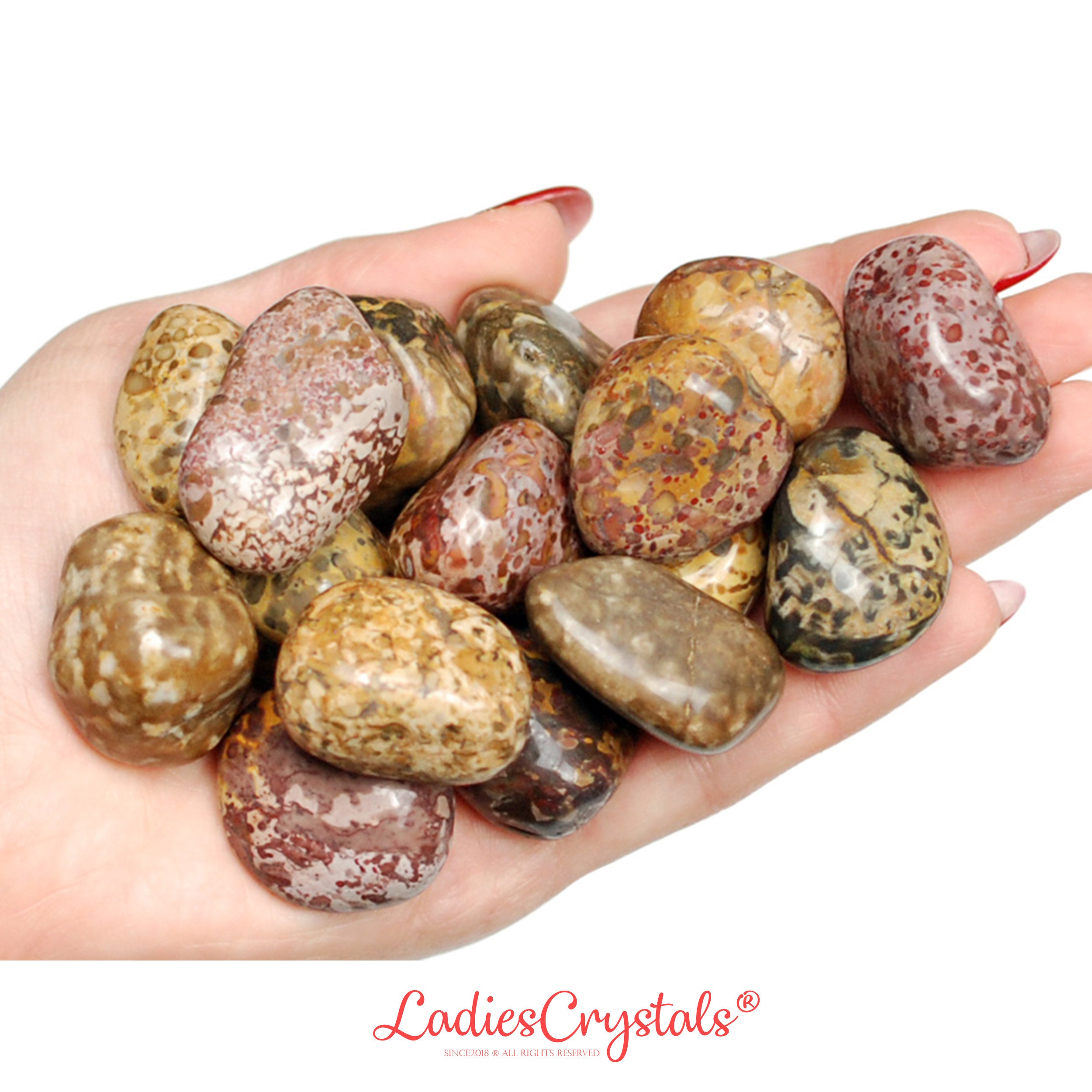 Rhyolite Leopardskin Jasper Tumbled Stone, Natural Change And Self-esteem Gem Rhyolite Leopardskin Jasper Tumbled Stone, Natural Change And Self-esteem Gem