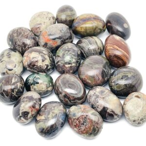 Rhyolite Tumbled Stone - Rainforest Tumbled Stone - Rhyolite Gemstone  – TU1077