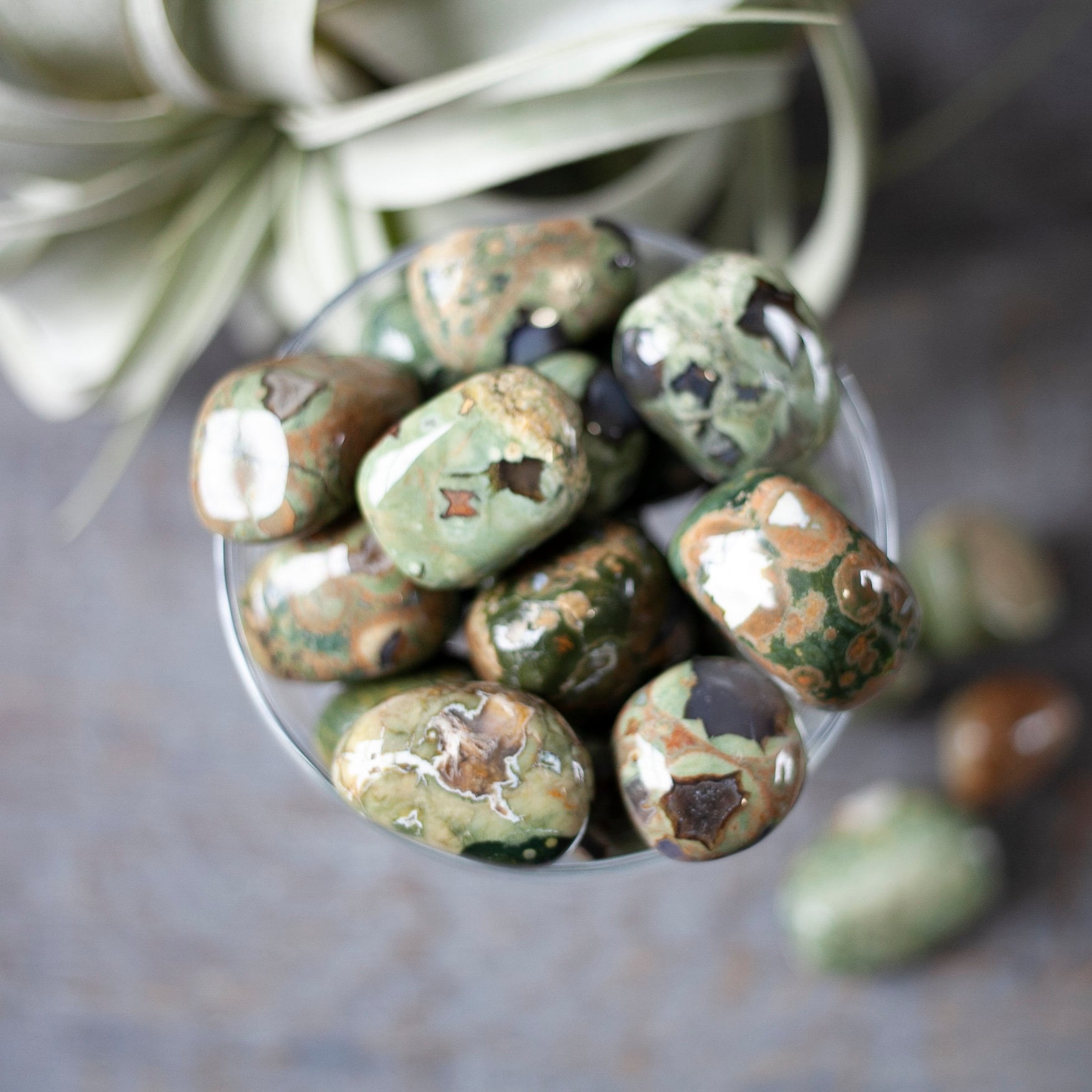 Rainforest Jasper Stone, Tumbled Rhyolite Stone, Healing Stone For Pet Lover, Vets, Earth Energy, Heart Chakra Support, Connection To Nature