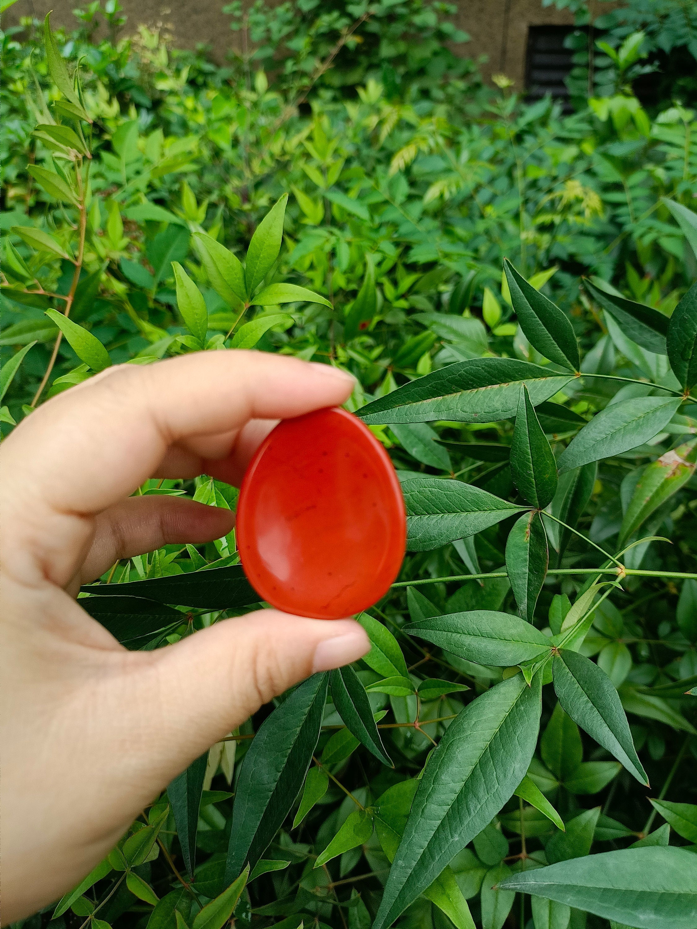 Red Jasper Worry Stone