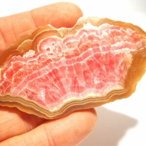 144 Carats Rhodochrosite Poker Card Protector Cabochon Stalagmite Slice Stalactite Quality Gem Large Giant Belt Buckle Lapidary Slab 144 Carats Rhodochrosite Poker Card Protector Cabochon Stalagmite Slice Stalactite Quality Gem Large Giant Belt Buckle Lapidary Slab