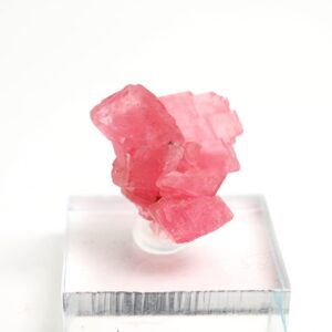 Rhodochrosite Crystal: Sweet Home Mine, Colorado Mineral Specimen