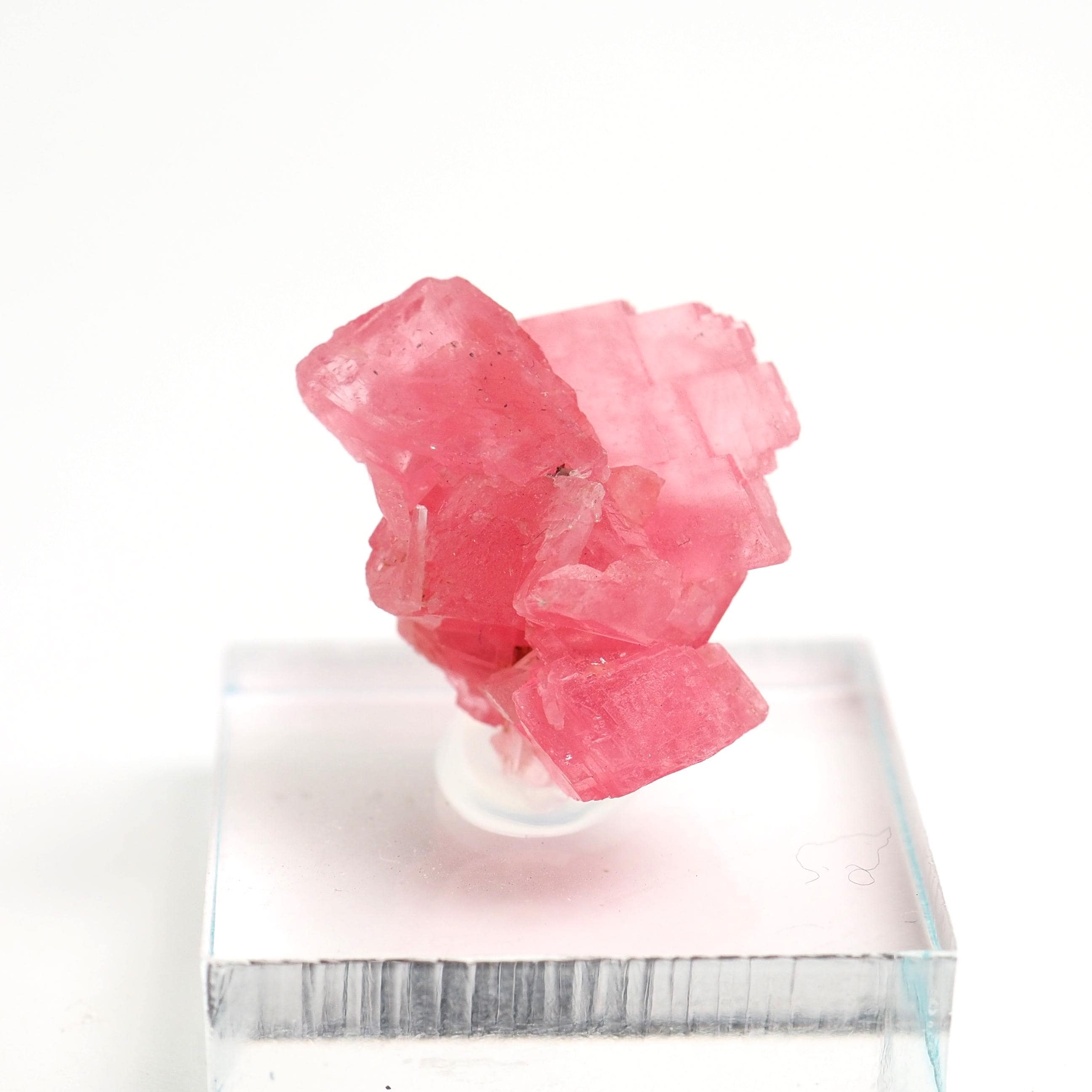 Rhodochrosite Crystal: Sweet Home Mine, Colorado Mineral Specimen