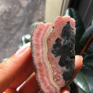 Polished Rhodochrosite Slice, Pink Banded Mineral Specimen