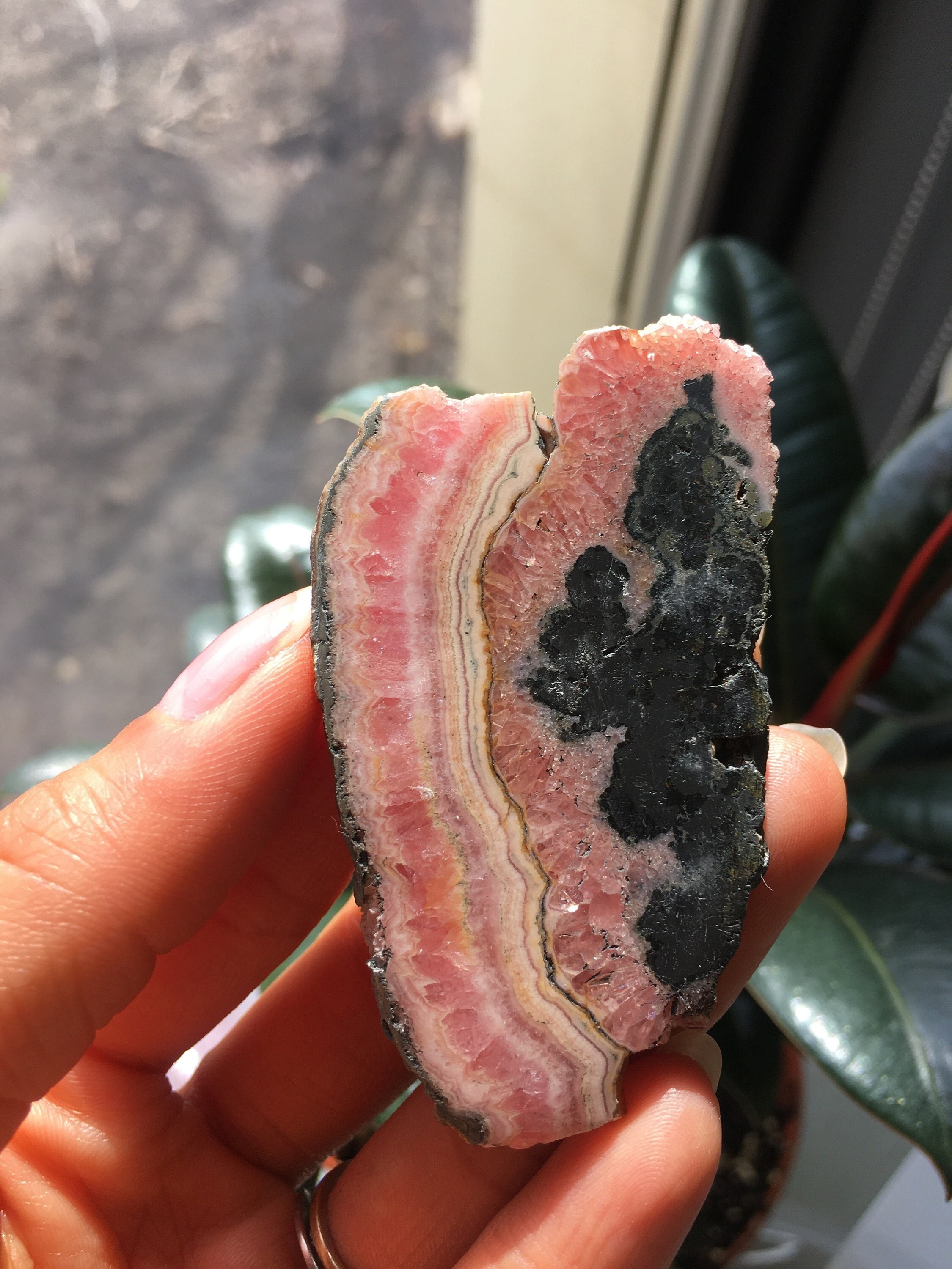 Polished Rhodochrosite Slice, Pink Banded Mineral Specimen