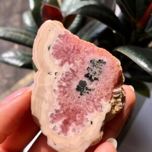 Polished Rhodochrosite Slice, Pink Mineral Specimen