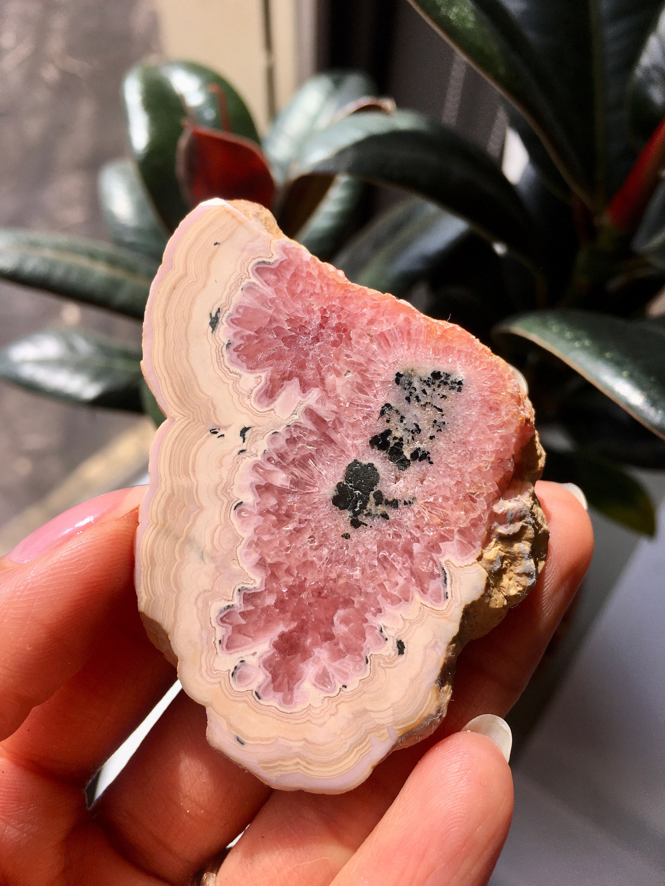 Polished Rhodochrosite Slice, Pink Mineral Specimen