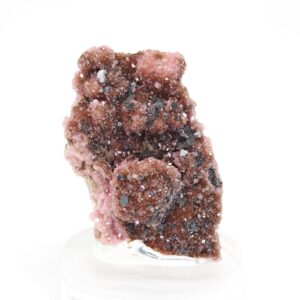 Rhodochrosite Pyrochroite Specimen: South Africa Mineral