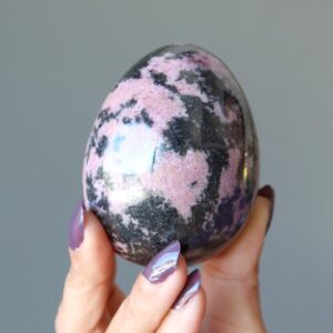 Rhodonite Egg Self-love Pink Crystal Black Lace