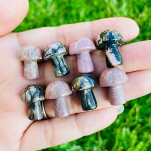 Rhodonite Mushroom: Mini Tumbled Pink Crystal Stone Rhodonite Mushroom: Mini Tumbled Pink Crystal Stone