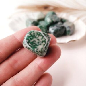 RICH JADE tumbled crystal tumble Jadeite gemstone healing chakra crystal for heart & crown chakras Natural polished Jade stone for abundance RICH JADE tumbled crystal tumble Jadeite gemstone healing chakra crystal for heart & crown chakras Natural polished Jade stone for abundance
