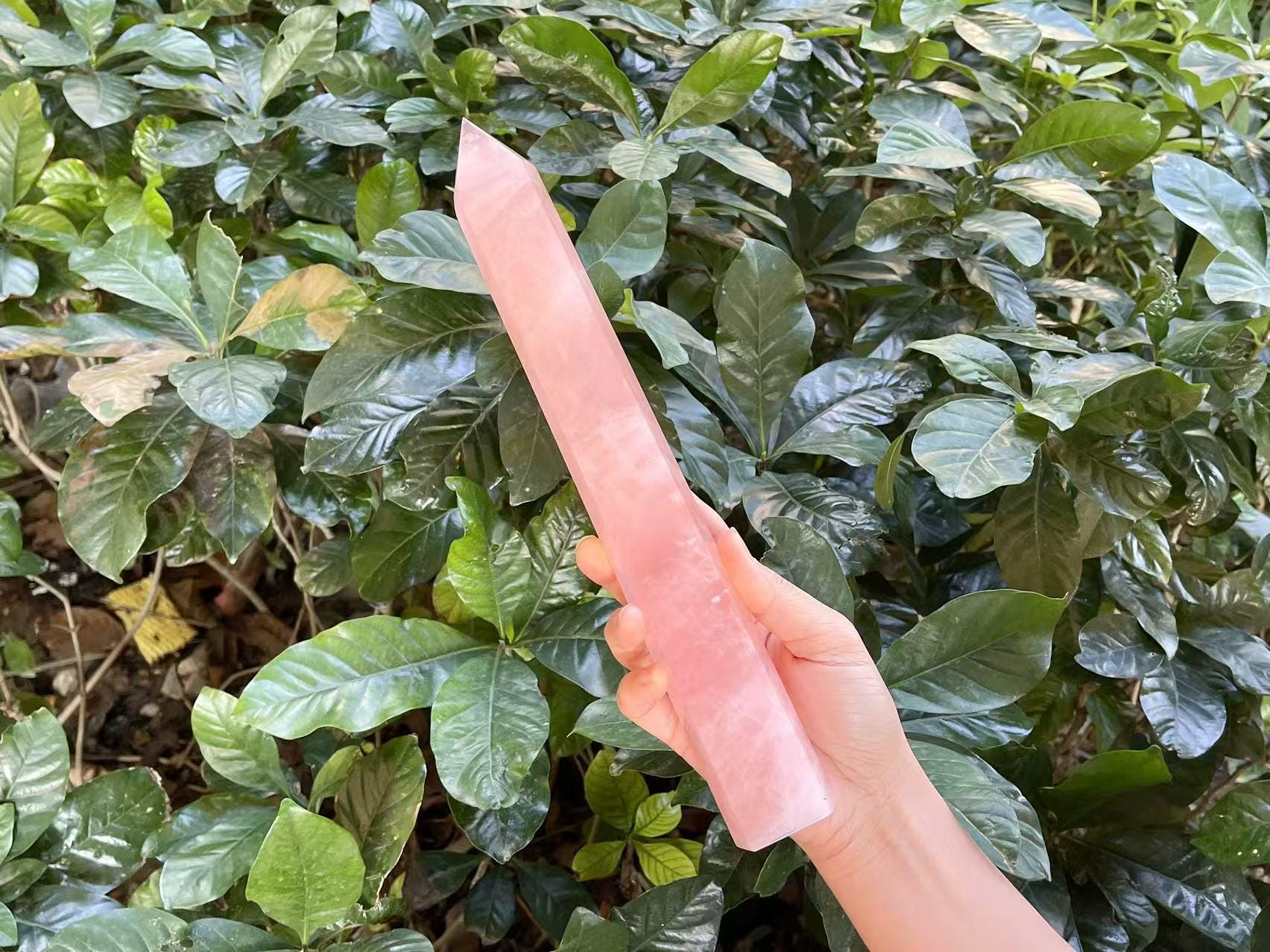 11" Super Long Rose Quartz Point Wand Madagascar Rose Quartz Crystal Tower Point Extra Long Rose Quartz Healing Love Stone Cd-l02 Ob