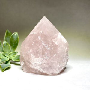 Rose Quartz Polished Crystal Points
