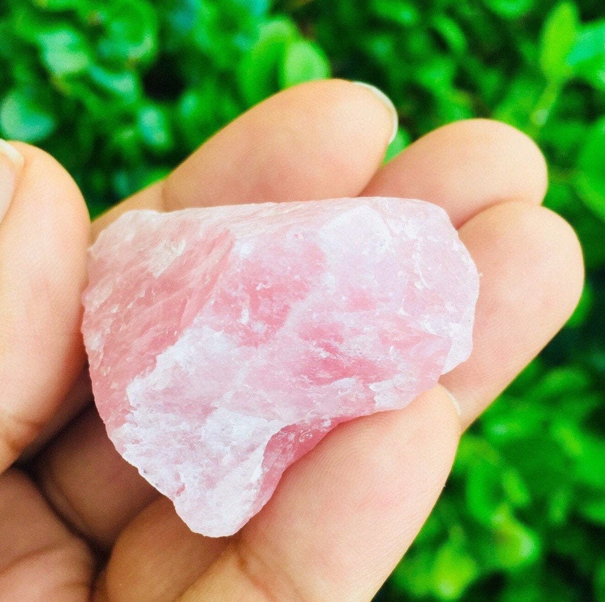 Raw Rose Quartz Crystal: Rough Pink Gemstone (1-2")