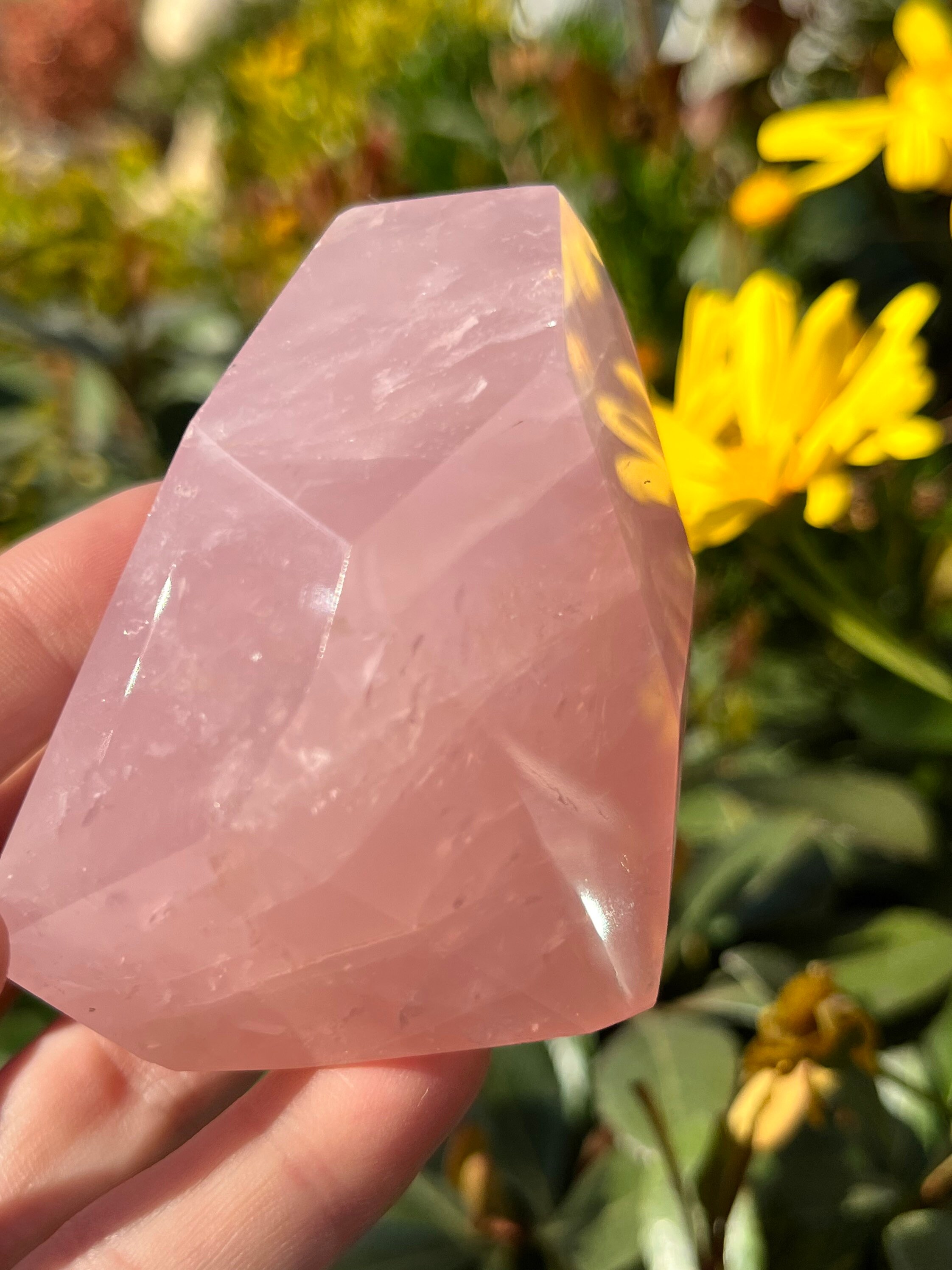 Gem Grade Rose Quartz Free Form Natural Raw Polished Minerals Crystals ~ Crystal Stone Carved Decor Display Crystal Gem Grade Rose Quartz Free Form Natural Raw Polished Minerals Crystals ~ Crystal Stone Carved Decor Display Crystal