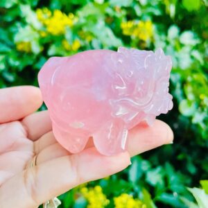 Rose Quartz Dragon Turtle Carving: Pink Crystal Mythical Animal (151g)