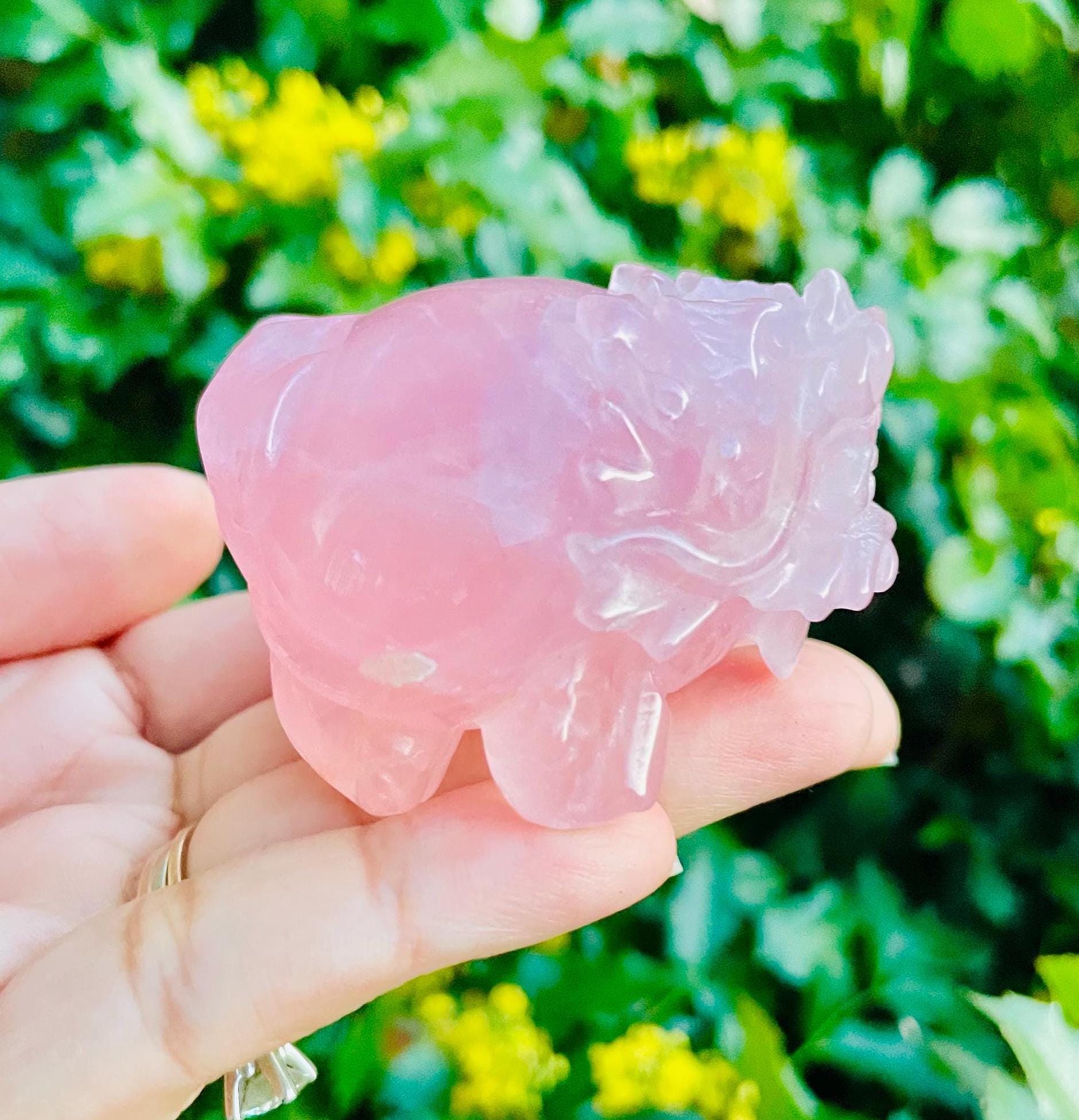 Rose Quartz Dragon Turtle Carving: Pink Crystal Mythical Animal (151g)